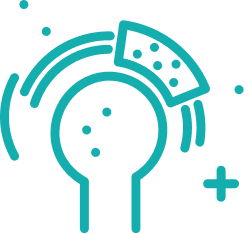 arthorscopic repair icon 